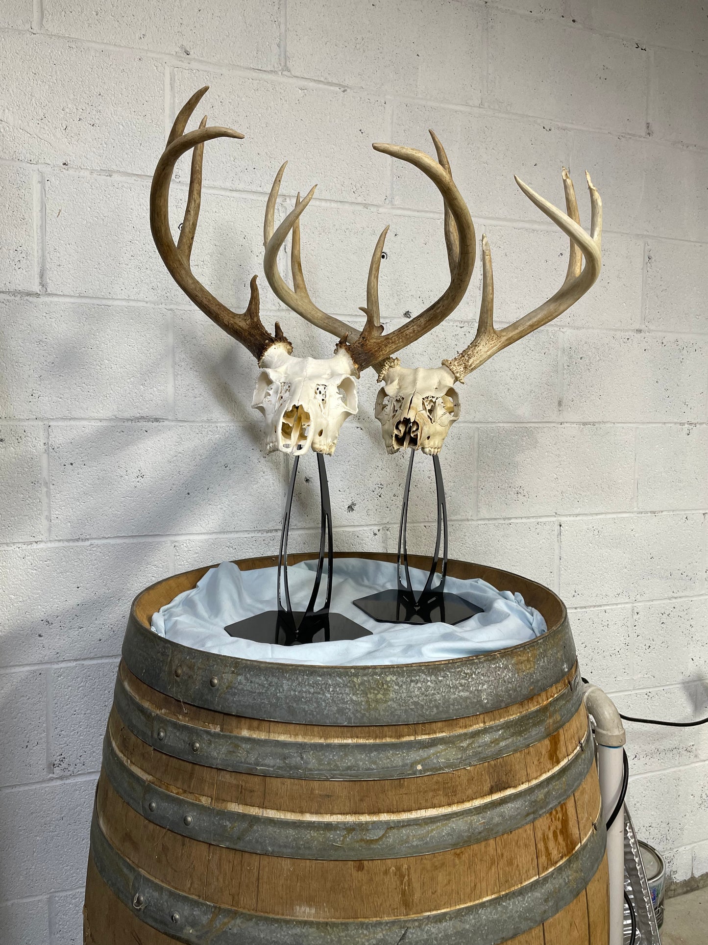 Euro Mount Desk Display