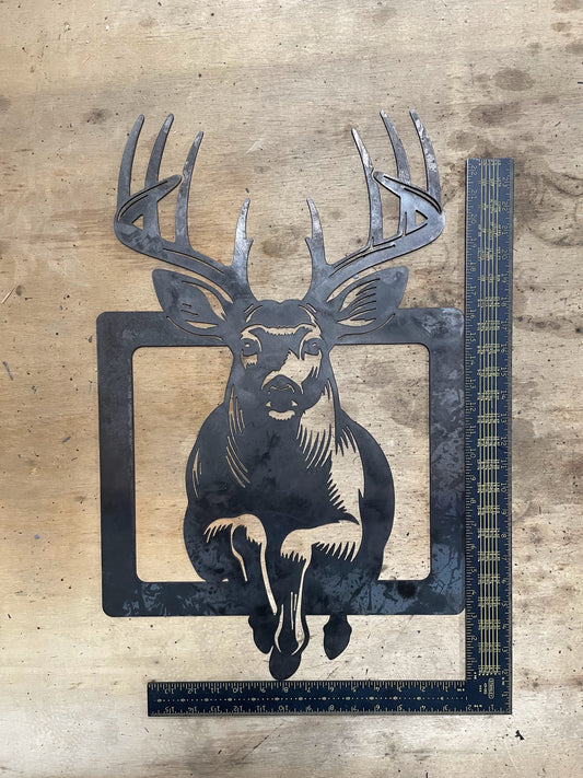 16x24 Whitetail Deer